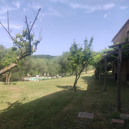 Borgo Villa A Tolli Castelnuovo dellʼAbate المظهر الخارجي الصورة